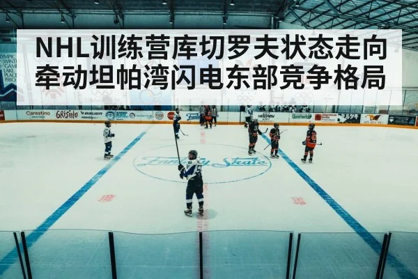 ice hockey arena game
